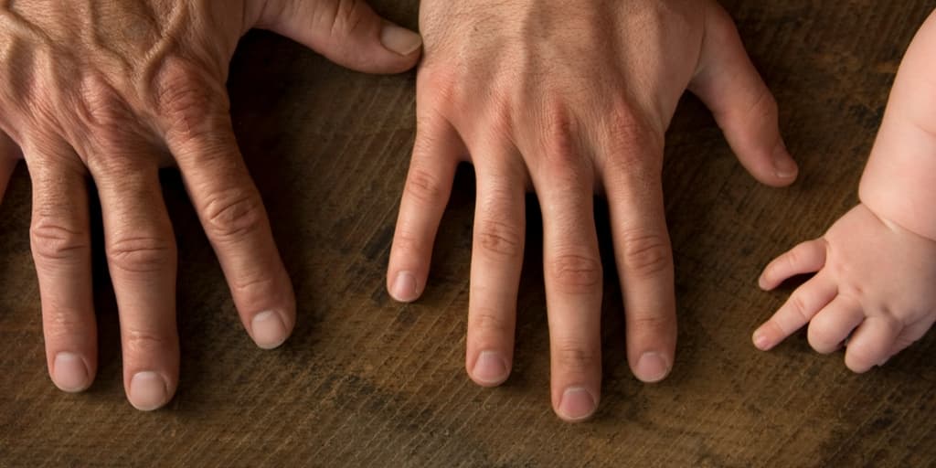 Transakcijska analiza: ego stanja Roditelj, Odrasli, Dijete