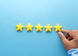 feedback
