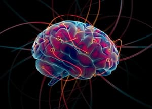 neuroplastičnost