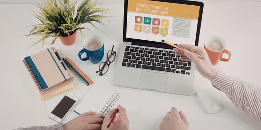 Performance Management & Feedback