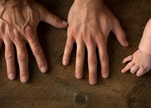 Transakcijska analiza: ego stanja Roditelj, Odrasli, Dijete