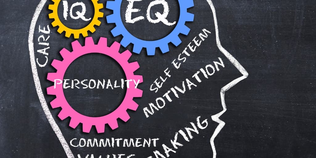 emocionalna inteligencija